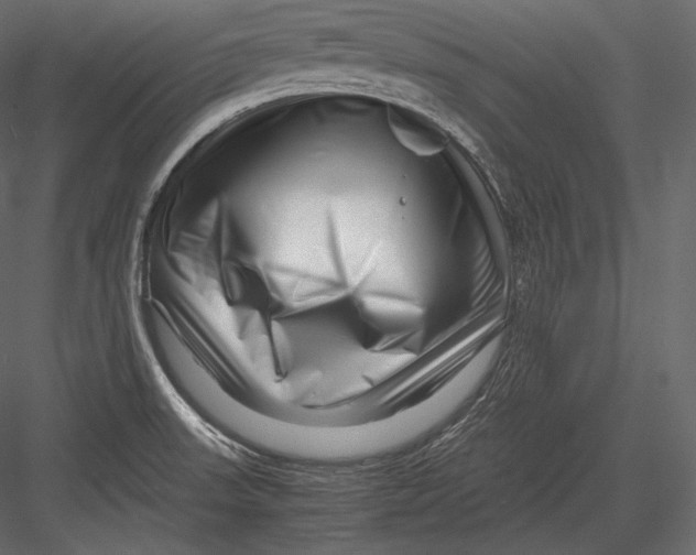 X0000082951523200702222300