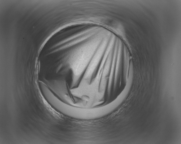 X0000082951524200702222300