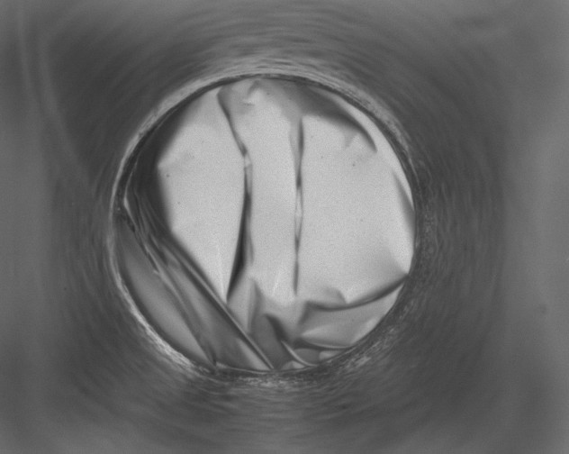 X0000082951525200702222300