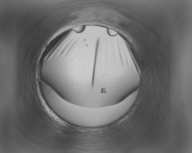 X0000082951526200702222300