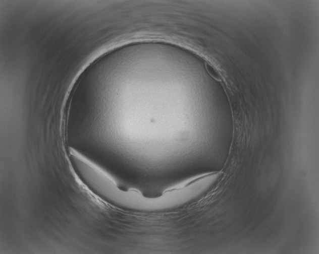 X0000082951527200702222300