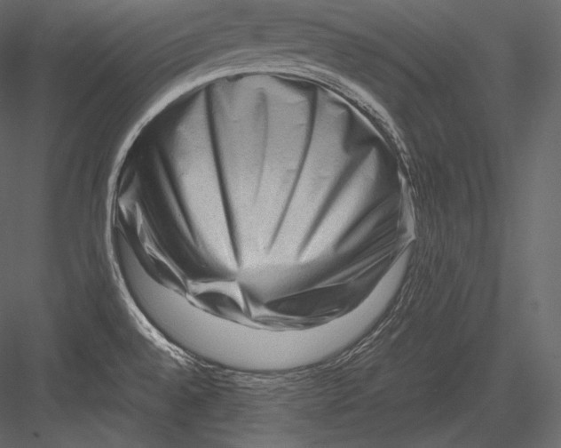 X0000082951528200702222300