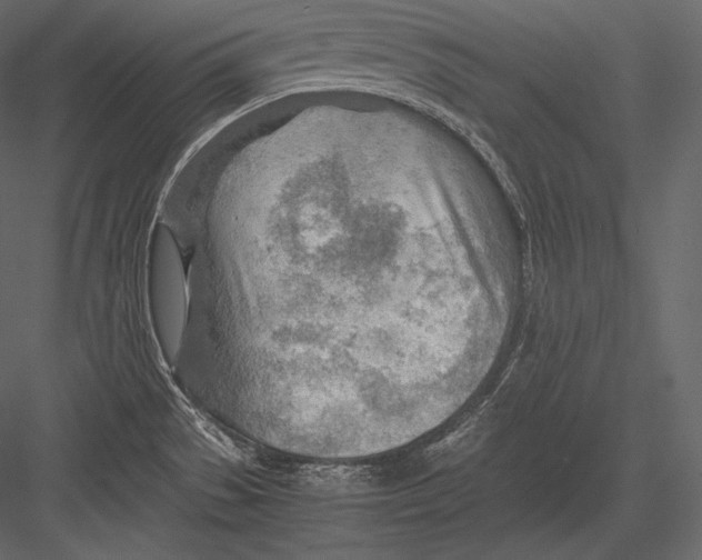 X0000082951529200702222300