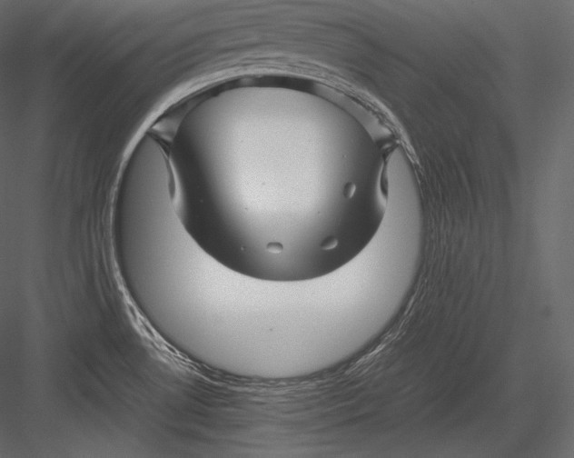 X0000082951530200702222300