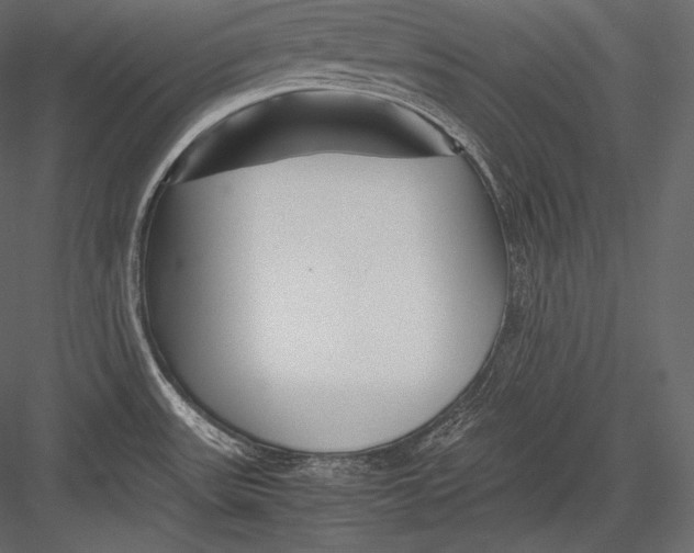 X0000082951531200702222300