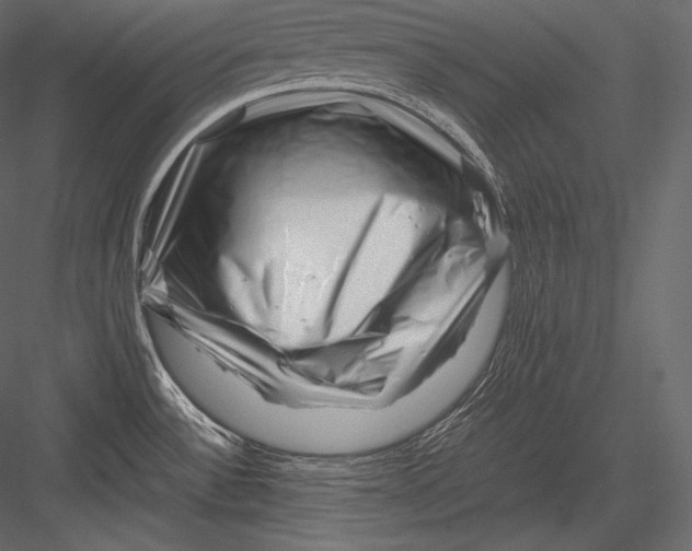 X0000082951532200702222300