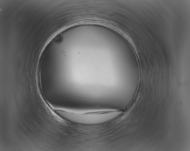 X0000082951533200702222300