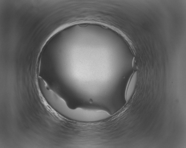 X0000082951534200702222300