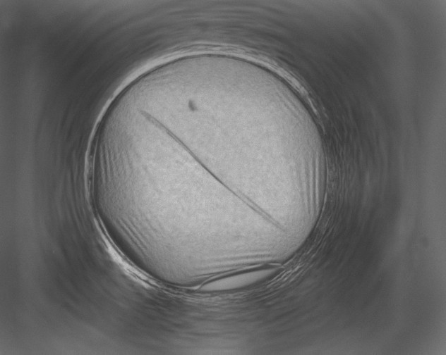 X0000082951535200702222300