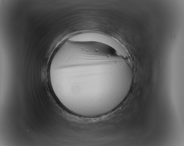 X0000082950002200703020200