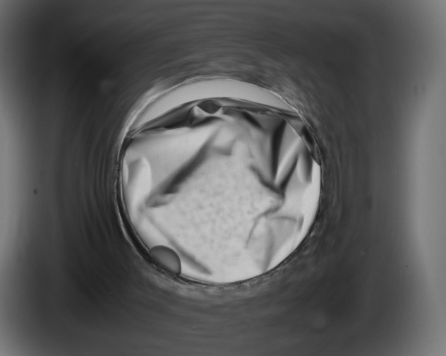 X0000082950003200703020200