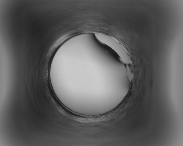 X0000082950005200703020200