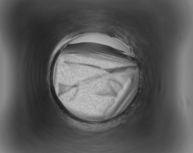 X0000082950006200703020200