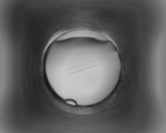 X0000082950008200703020200