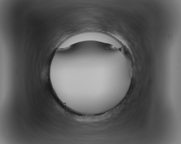 X0000082950009200703020200