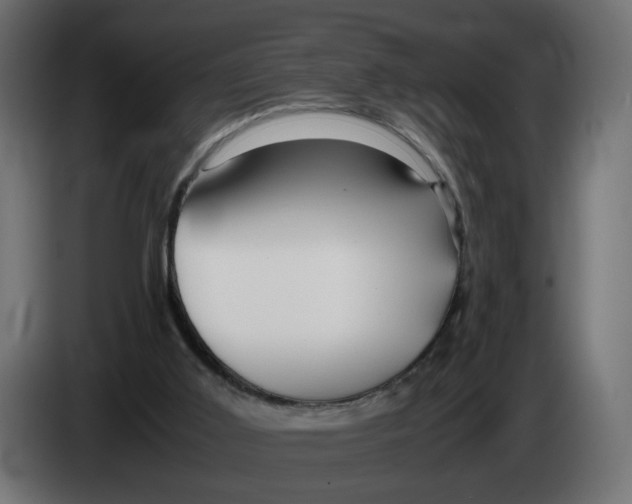 X0000082950011200703020200