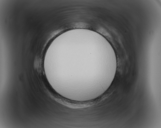 X0000082950012200703020200