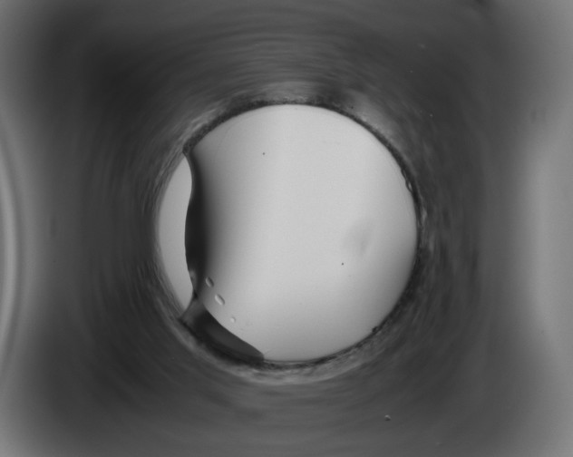 X0000082950013200703020200