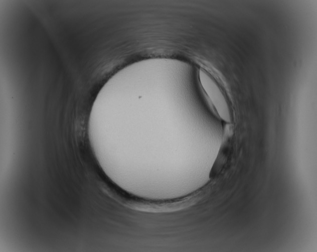 X0000082950017200703020200