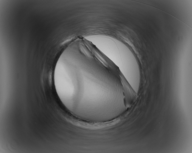 X0000082950019200703020200