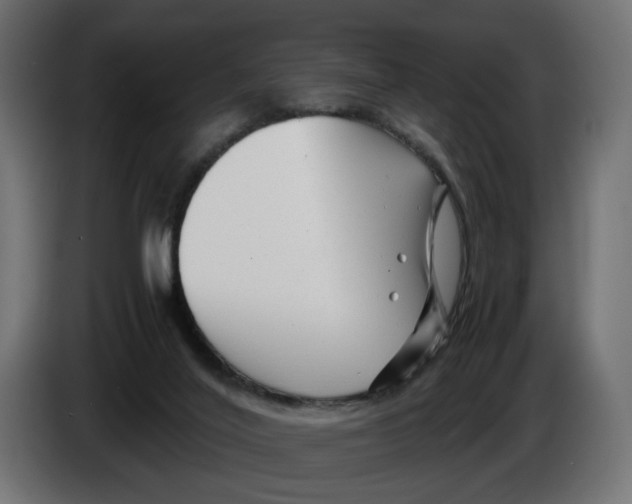 X0000082950020200703020200