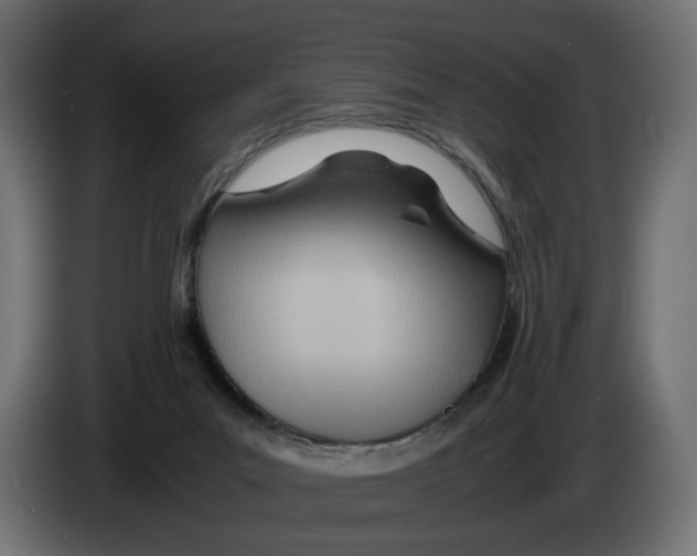 X0000082950023200703020200