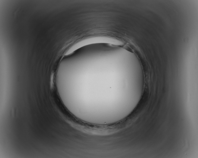 X0000082950024200703020200