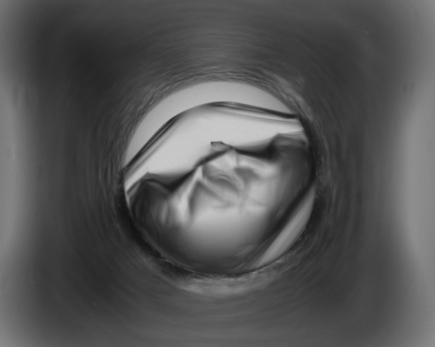 X0000082950025200703020200