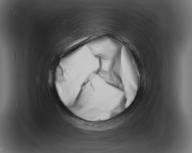 X0000082950026200703020200