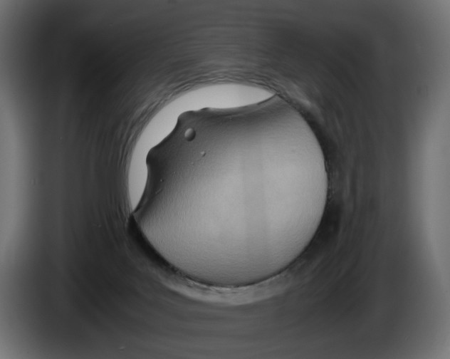 X0000082950027200703020200