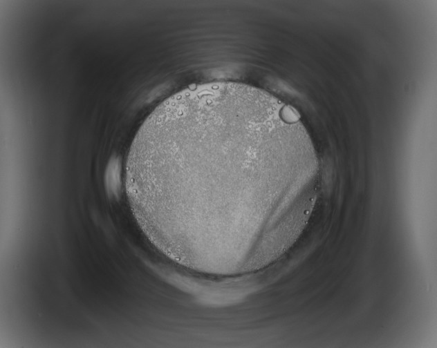 X0000082950028200703020200