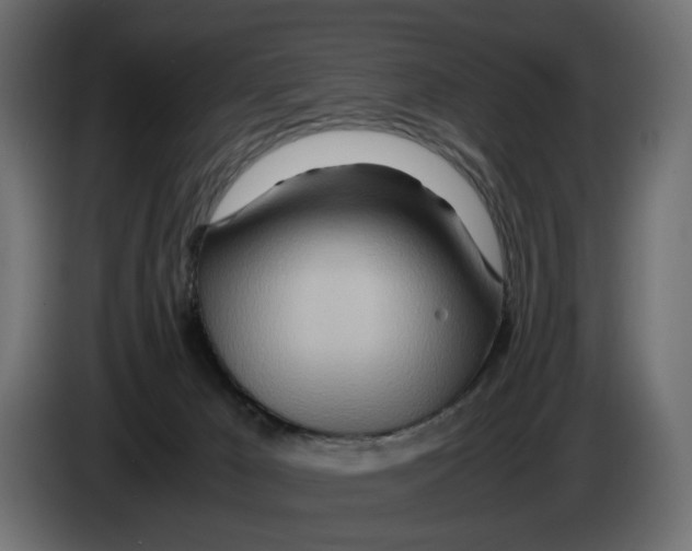 X0000082950029200703020200