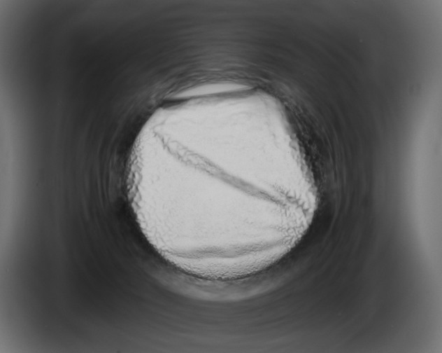 X0000082950030200703020200