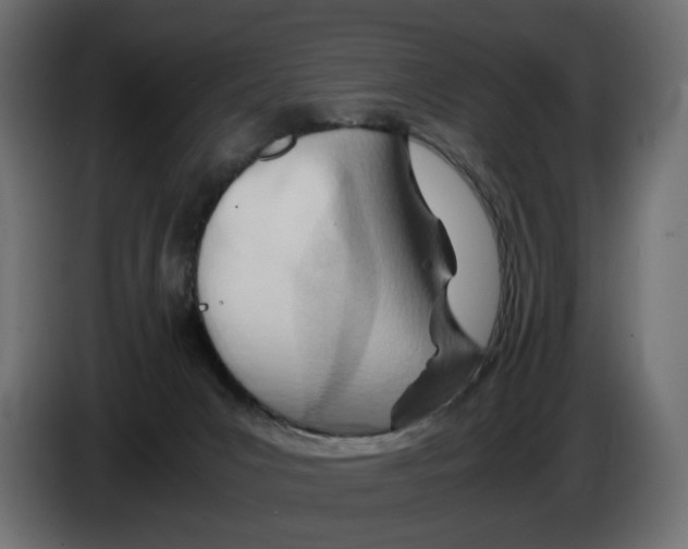 X0000082950031200703020200