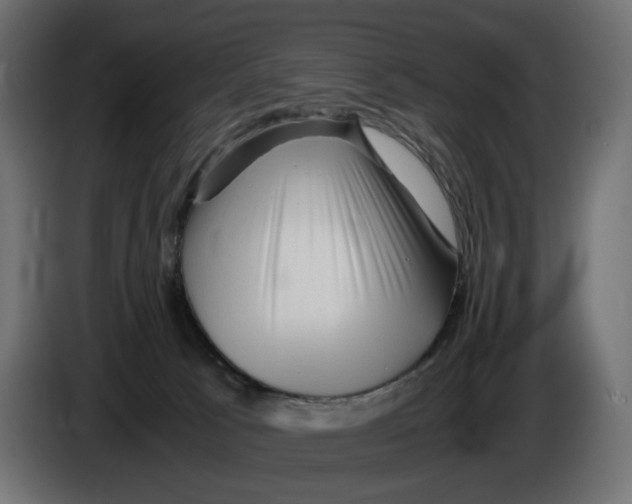 X0000082950033200703020200