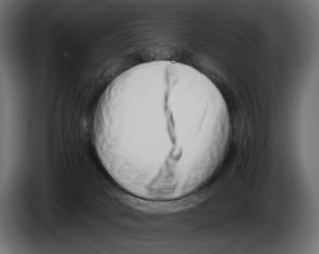 X0000082950034200703020200