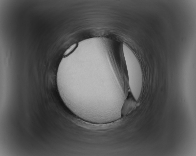 X0000082950035200703020200