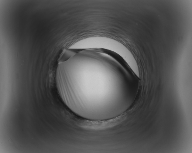 X0000082950037200703020200