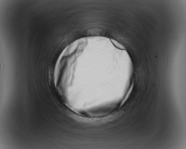 X0000082950038200703020200