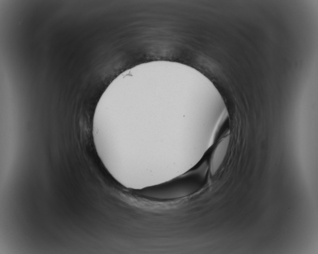 X0000082950040200703020200