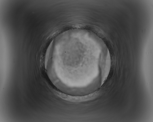 X0000082950043200703020200