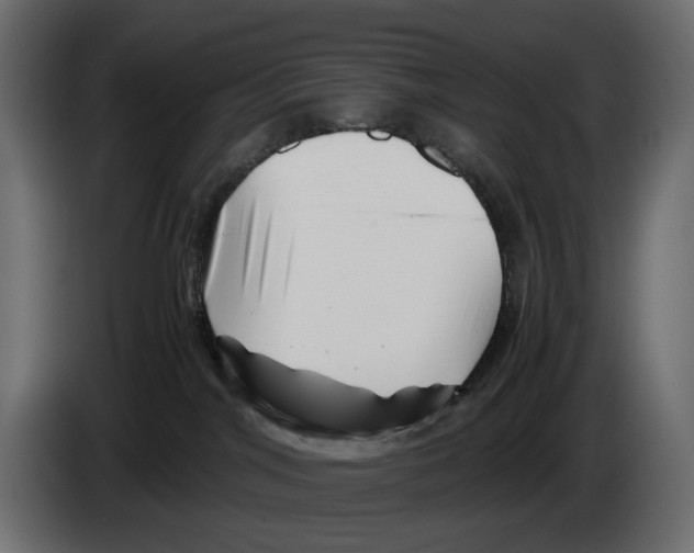 X0000082950044200703020200