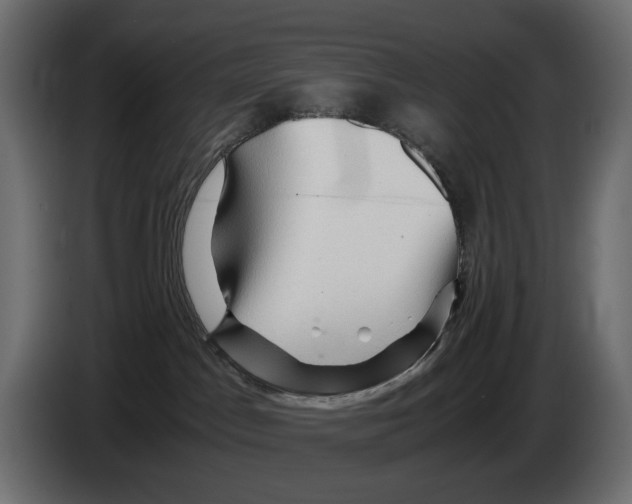 X0000082950045200703020159