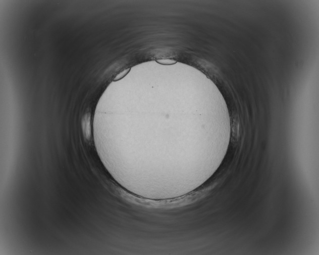 X0000082950046200703020159