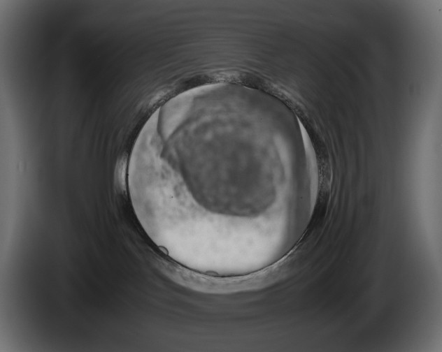 X0000082950047200703020159