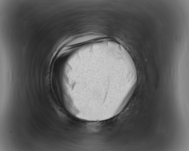 X0000082950050200703020159