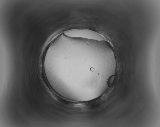 X0000082950053200703020159