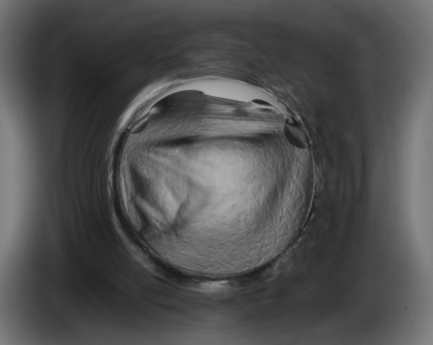 X0000082950054200703020159