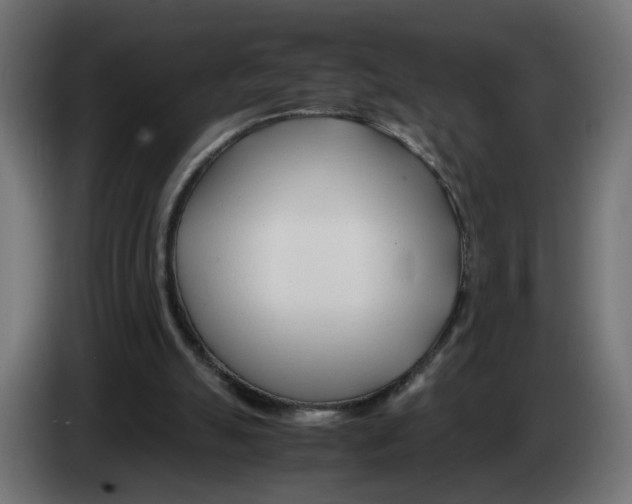 X0000082950055200703020159