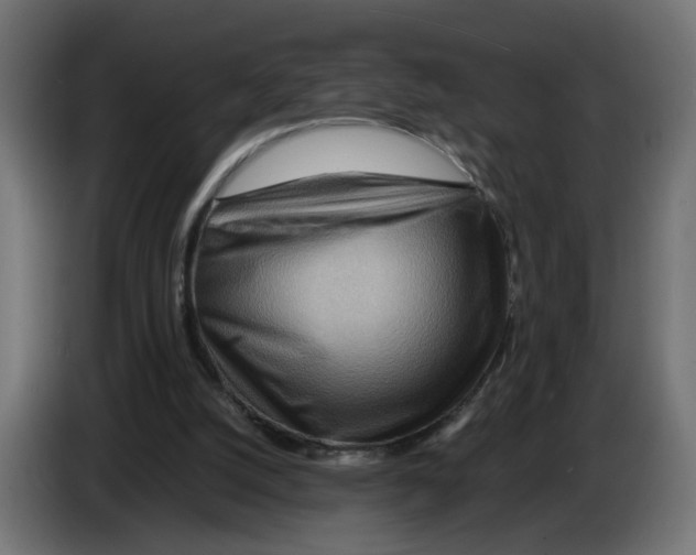 X0000082950056200703020159